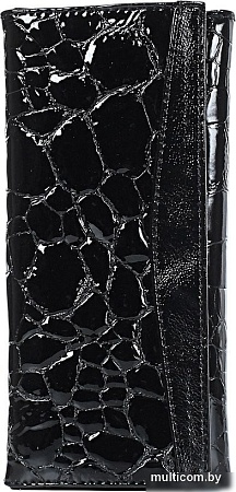 Портмоне Galanteya 14316 25с520к45 (черный)