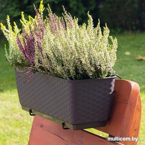 Prosperplast Ratolla PW DRL500PW-S433 (антрацит)