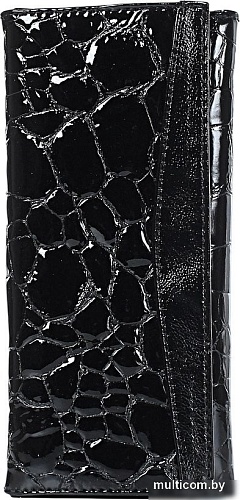 Портмоне Galanteya 14316 25с520к45 (черный)