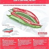 Пакеты вакуумные Status VB 20x28-40