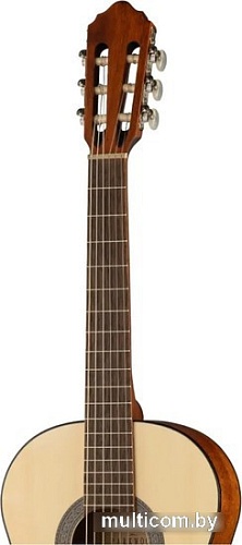 Акустическая гитара Parkwood PC90-WBAG-OP