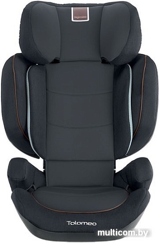 Детское автокресло Inglesina Tolomeo (серый)