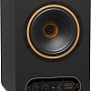 Монитор ближнего поля Tannoy Gold 7