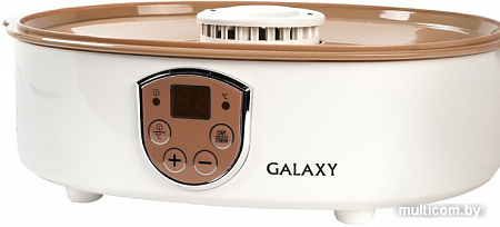 Сушилка для овощей и фруктов Galaxy GL2637