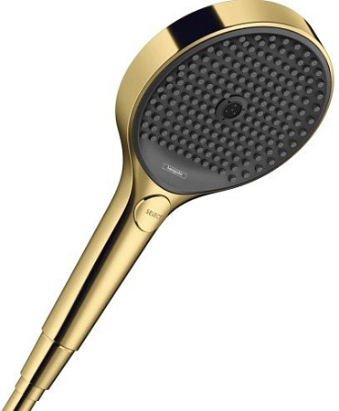 Душевая лейка Hansgrohe Rainfinity 26864990