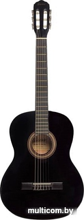 Акустическая гитара Terris TC-395A BK