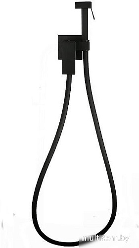 Гигиенический душ Roxen Caspia 50096000-B