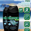 Palmolive Men охлаждение и расслабление мышц 2x250 мл