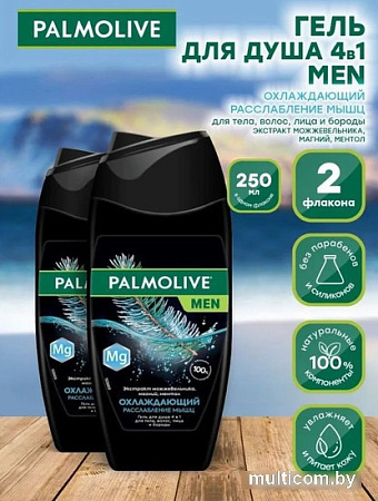 Palmolive Men охлаждение и расслабление мышц 2x250 мл