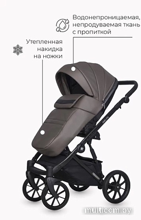 Универсальная коляска Riko Basic Delta Ecco (3 в 1, 12)