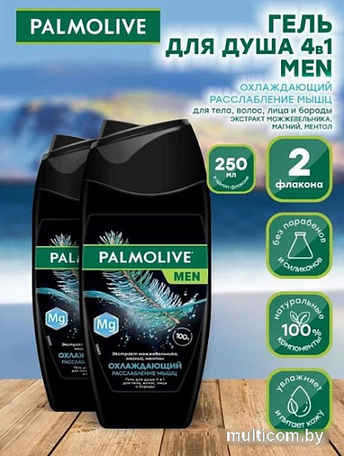Palmolive Men охлаждение и расслабление мышц 2x250 мл