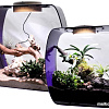 Террариум Lucky Reptile Life Box LB-35P (фиолетовый)
