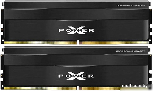 Оперативная память Silicon-Power XPower Zenith 2x32ГБ DDR5 5600 МГц SP064GXLWU560FDE