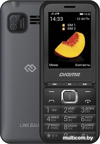 Мобильный телефон Digma Linx B241 (серый)