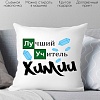 Декоративная подушка Print Style Лучший учитель химии 40x40plat91