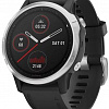 Умные часы Garmin Fenix 6s (серебристый/черный)