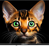 Телевизор Topdevice 42&amp;quot; Frameless BS04 (черный)