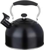 Чайник со свистком Agness Teekessel 937-907