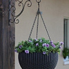 Кашпо Keter Rattan Style Hanging 229545