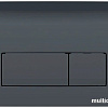 Панель смыва Geberit Delta 50 115.119.DW.1 (черный глянцевый)