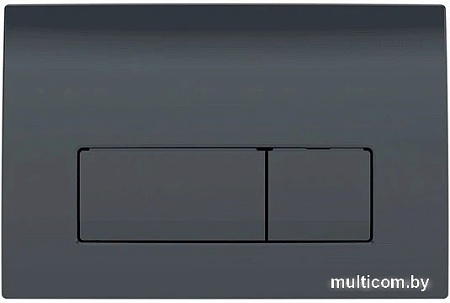 Панель смыва Geberit Delta 50 115.119.DW.1 (черный глянцевый)