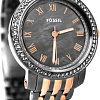 Наручные часы Fossil ES3115