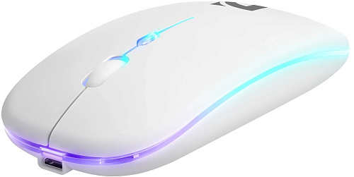 Мышь Defender Coda MB-261 (белый)