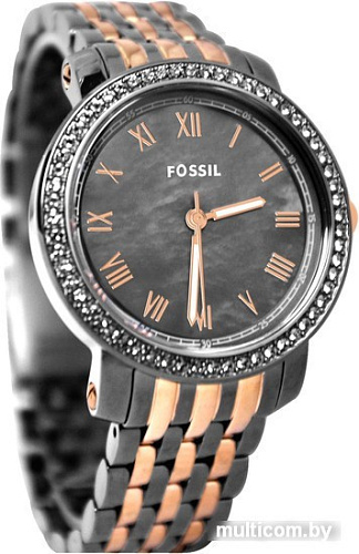 Наручные часы Fossil ES3115