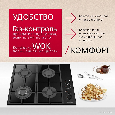 Варочная панель Hansa BHKS661830