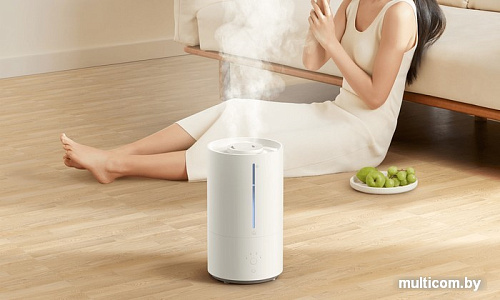 Увлажнитель воздуха Xiaomi Smart Humidifier 2 MJJSQ05DY (китайская версия)