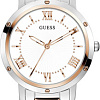 Наручные часы Guess Dawn GW0404L3