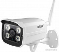 IP-камера Ginzzu HWB-2032A