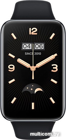 Фитнес-браслет Xiaomi Smart Band 7 Pro M2141B1 (серебристый/черный, международная версия)