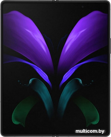 Смартфон Samsung Galaxy Z Fold2 SM-F916B 12GB/256GB (черный)