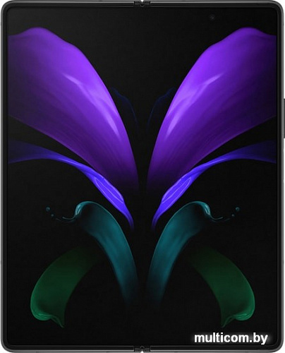 Смартфон Samsung Galaxy Z Fold2 SM-F916B 12GB/256GB (черный)