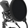 Микрофон Ritmix RDM-175