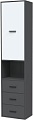 Шкаф распашной Интерлиния Skill-24 (1) (антрацит/белый)