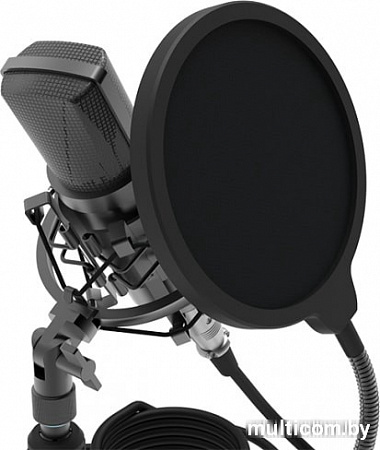 Микрофон Ritmix RDM-175