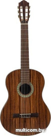 Акустическая гитара Flight C-110 Teak 4/4