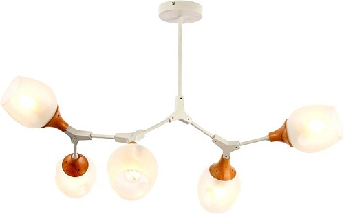 Люстра средней высоты Evoluce Ciotolla SLE113502-05