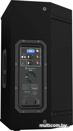 Концертная акустика Electro-Voice EKX-15P
