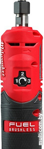 Прямошлифовальная машина Milwaukee M12 Fuel FDGS-422B 4933471436 (с 2-мя АКБ 2 Ah, 4 Ah)