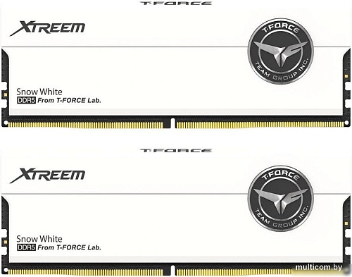 Оперативная память Team T-Force Xtreem 2x16ГБ DDR5 7600 МГц FFWD532G7600HC36FDC01