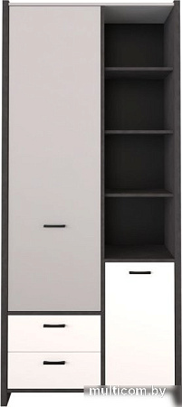 Шкаф распашной Black Red White Kristoff REG2D2S (матера/серый)