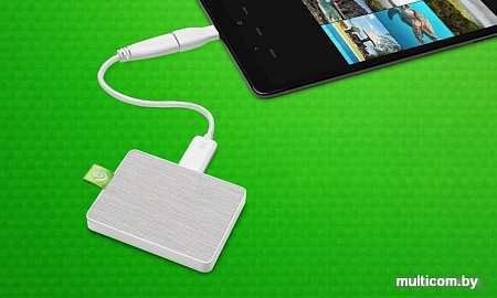 Внешний накопитель Seagate Ultra Touch STJW1000400 1TB