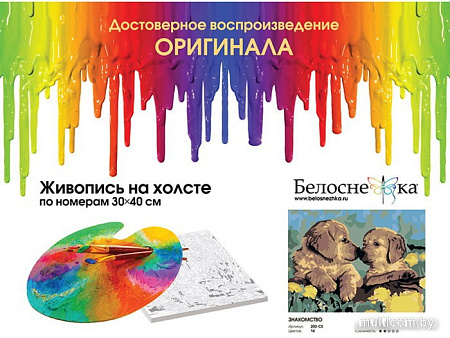 Картина по номерам Белоснежка Москва. Волхонка 511-AS