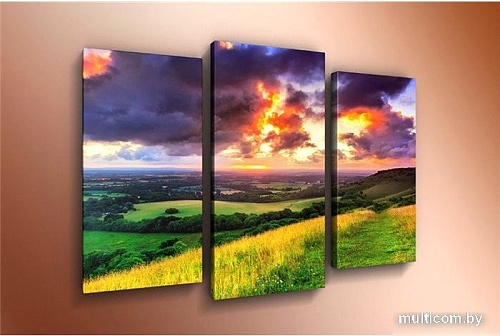 Модульная картина Arthata m-000507 120x80