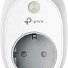 Розетка TP-Link HS100