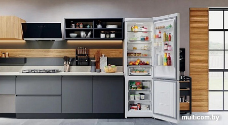 Холодильник Hotpoint-Ariston HTW 8202I W