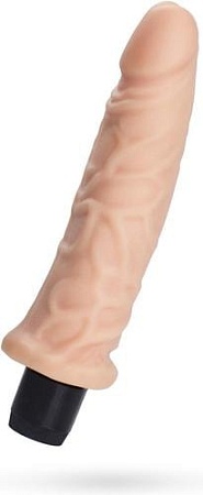 Вибратор TOYFA A-Toys Multi-Speed 761002